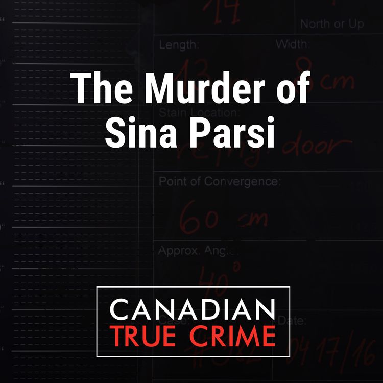 cover art for The Murder of Sina Parsi