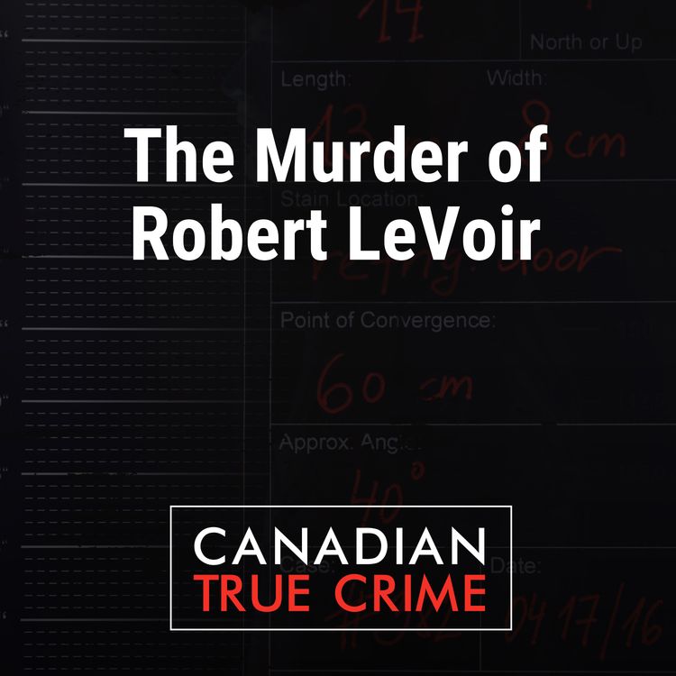 cover art for The Murder of Robert LeVoir