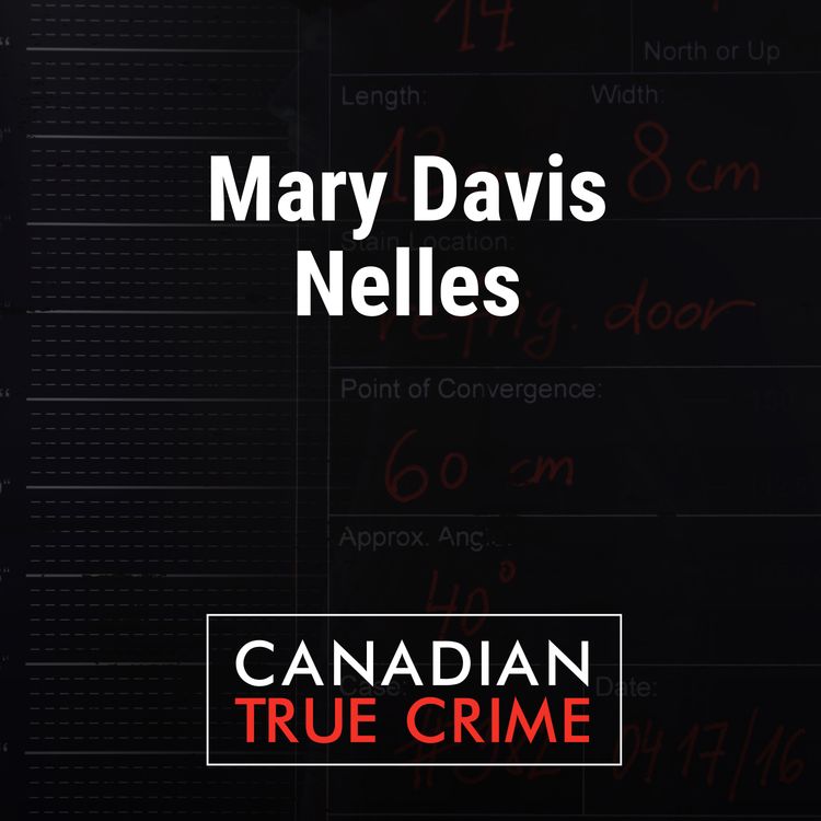 cover art for Mary Davis Nelles