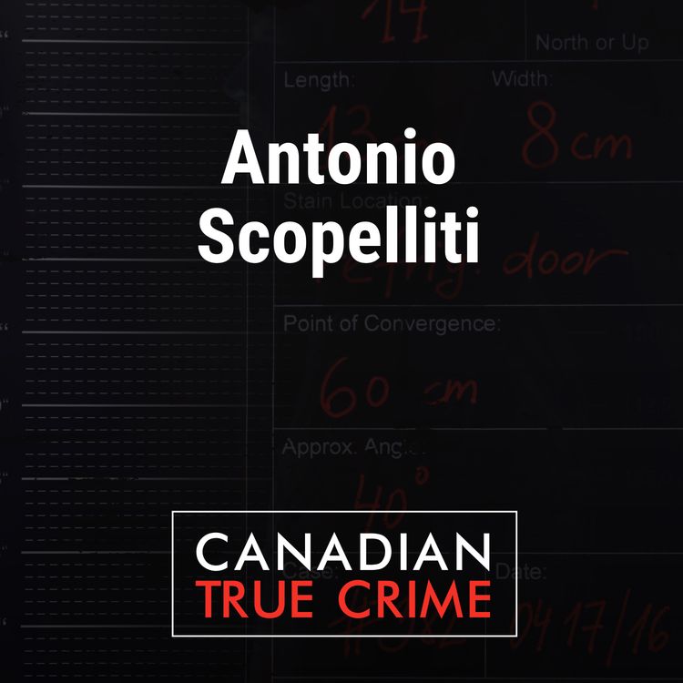 cover art for Antonio Scopelliti