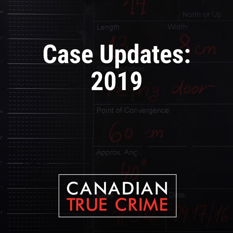 cover art for Case Updates: 2019