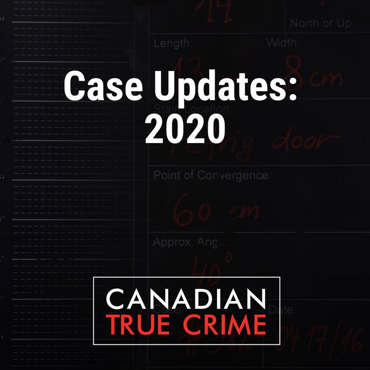 cover art for Case Updates: 2020