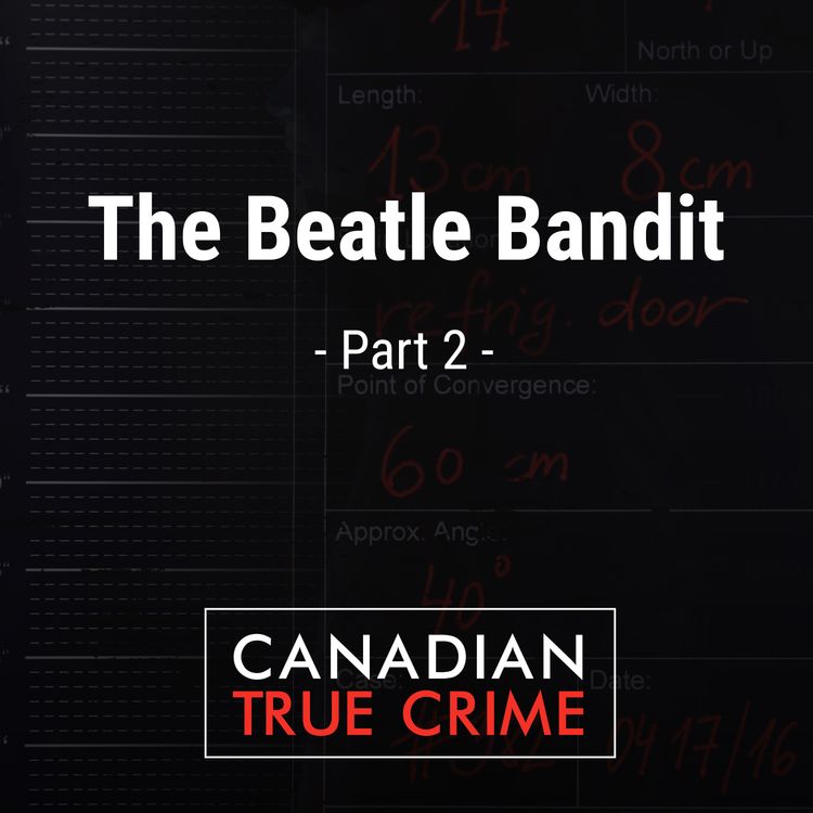 cover art for The Beatle Bandit [2]