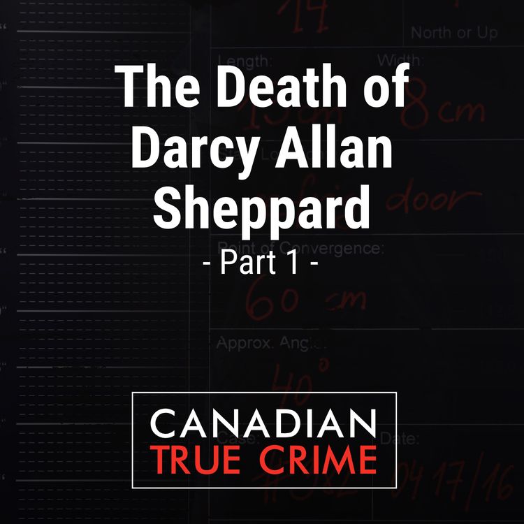 cover art for The Death of Darcy Allan Sheppard [1]