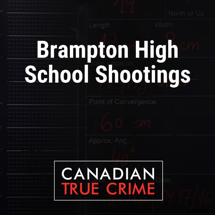 cover art for Brampton High School Shootings