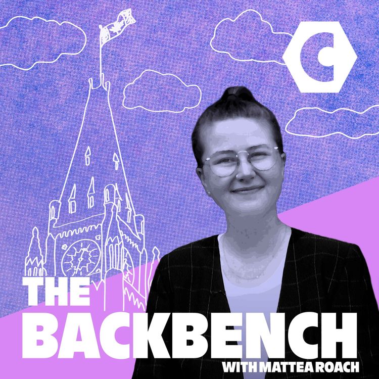 cover art for Welcome to The Backbench