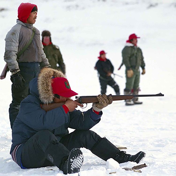 cover art for Is There Going to Be a War Over the Arctic?