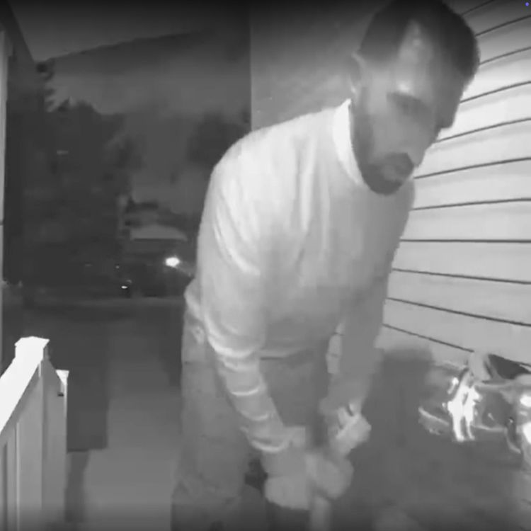 cover art for BONUS: The Candidates Caught on Doorbell Cams