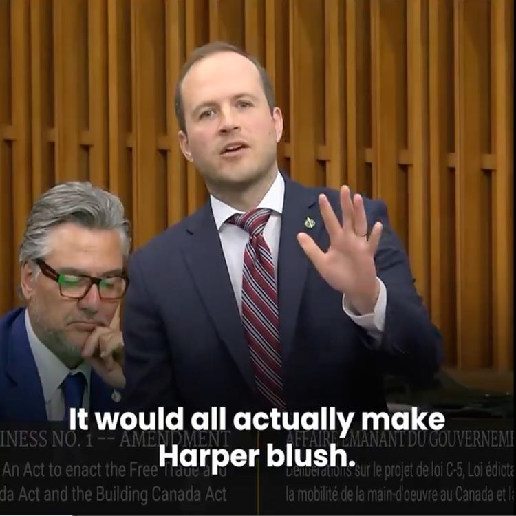 cover art for Meet the Liberal MP Who Went Against Carney (and Who Might Take Out Doug Ford)