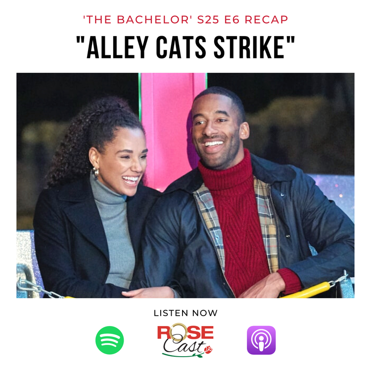 cover art for "Alley Cats Strike" | 'The Bachelor' S25 E6