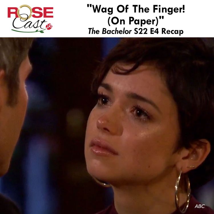 cover art for "Wag Of The Finger! (On Paper)" | 'The Bachelor' S22 E4 Recap