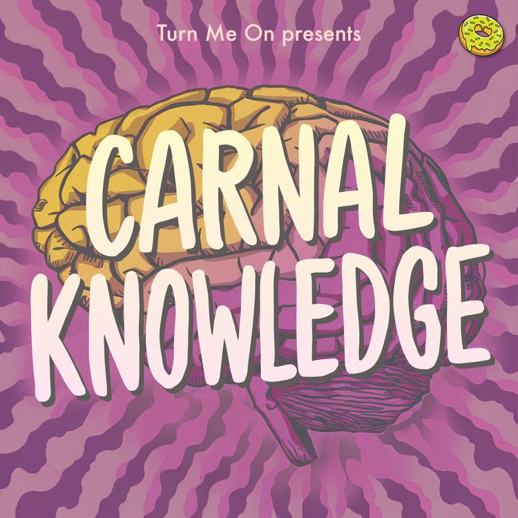 cover art for Carnal Knowledge: Same Sex Couple Relationship Strengths