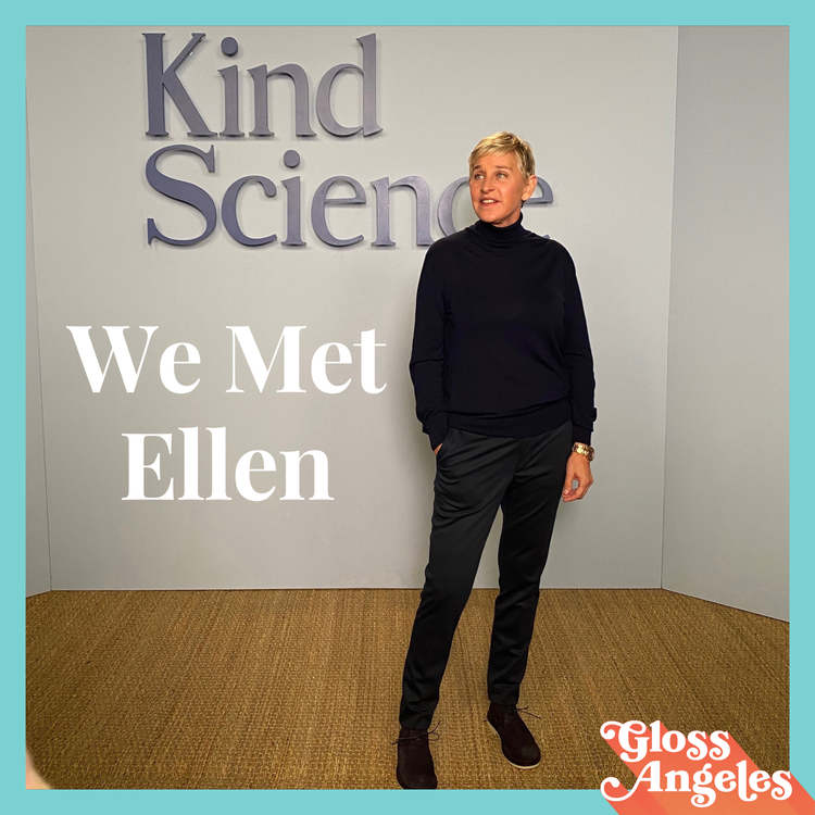 cover art for We Met Ellen