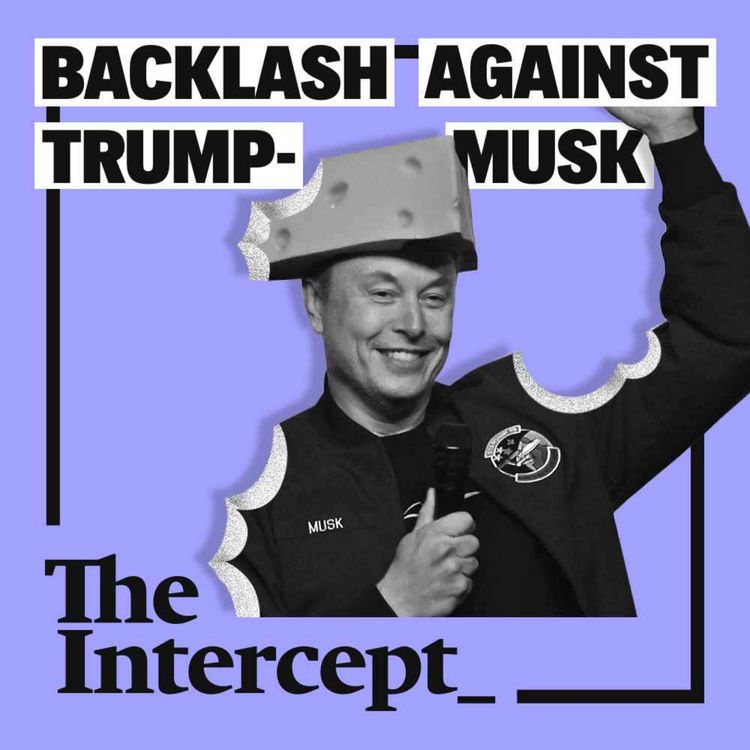 cover art for Unplugged: The Backlash Against Trump–Musk