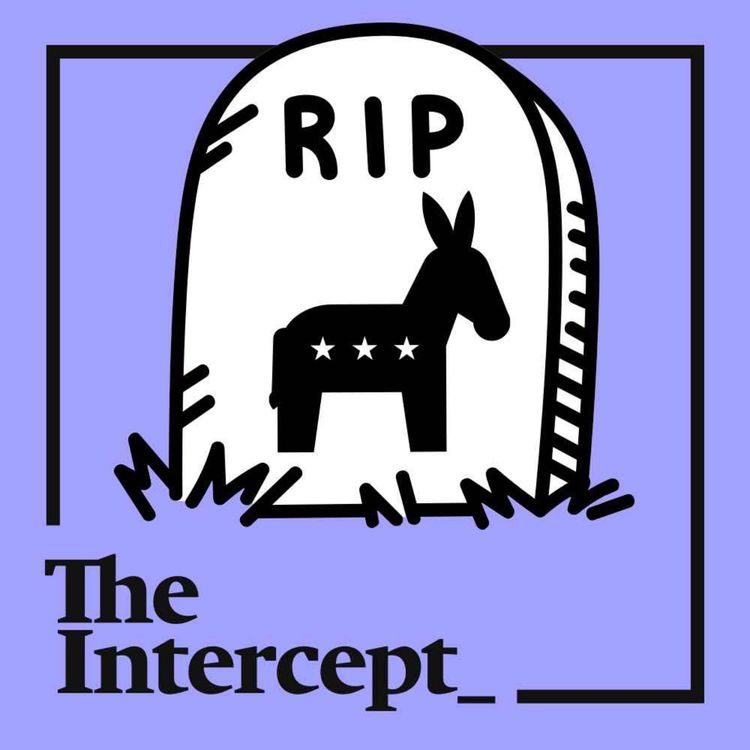 cover art for Democrats Are Missing Political Layups And Dooming Us All