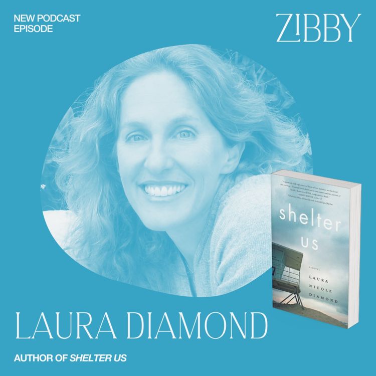 cover art for Laura Diamond, SHELTER US: A Novel