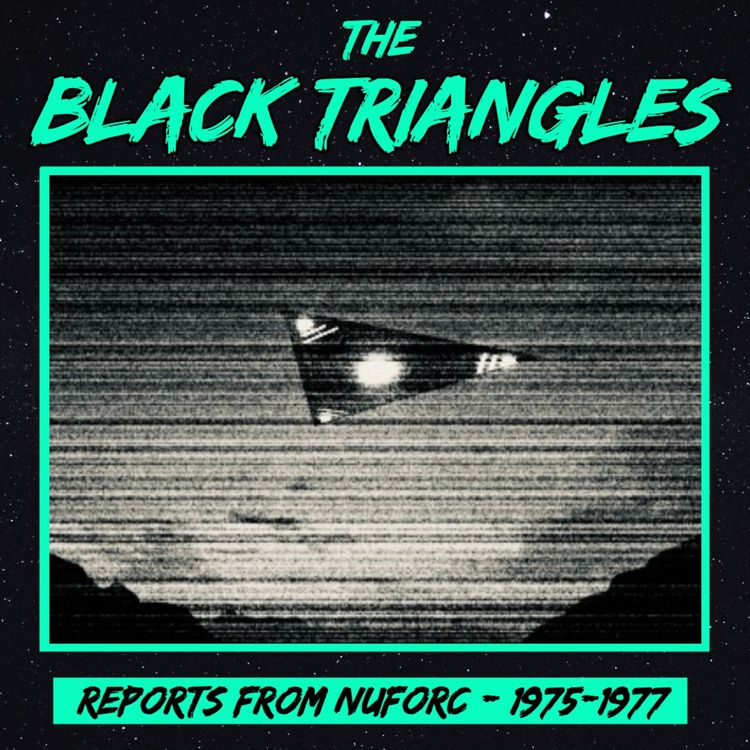 cover art for The Black Triangles: NUFORC Reports 