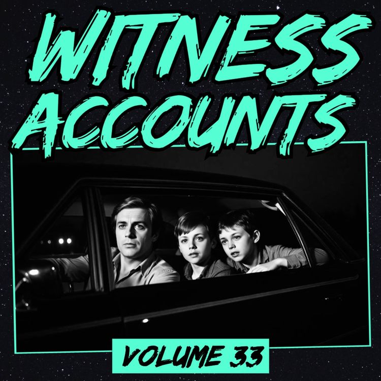 cover art for Witness Accounts: Volume 33