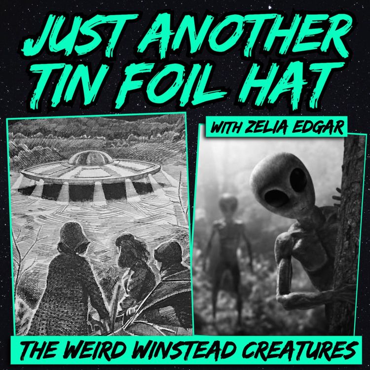 cover art for Just Another Tin-Foil Hat | The Weird Winsted Creatures