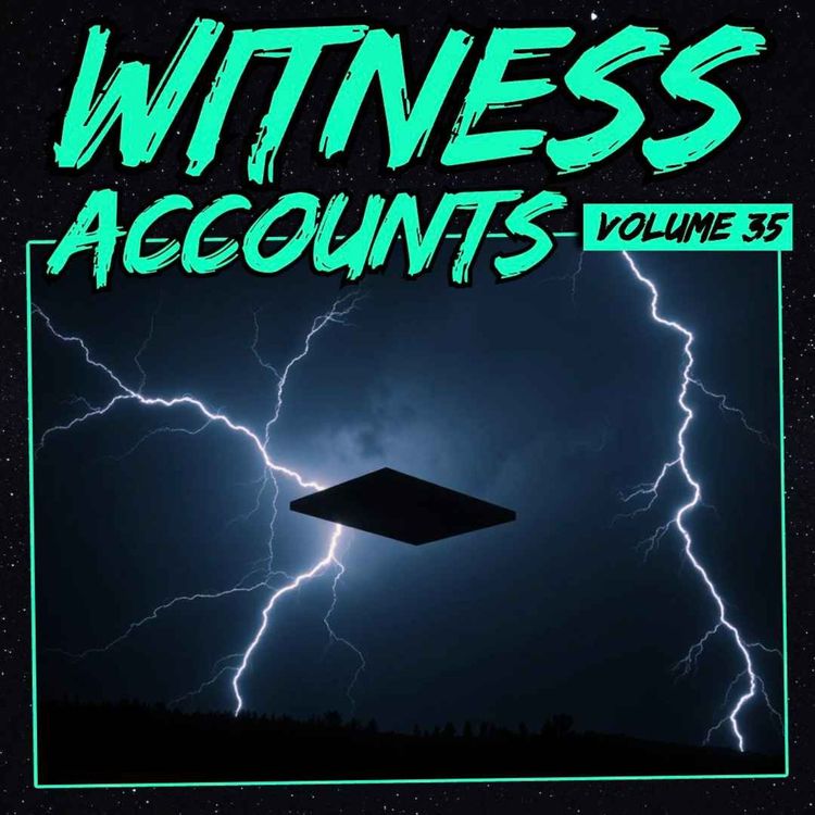 cover art for Witness Accounts: Volume 35