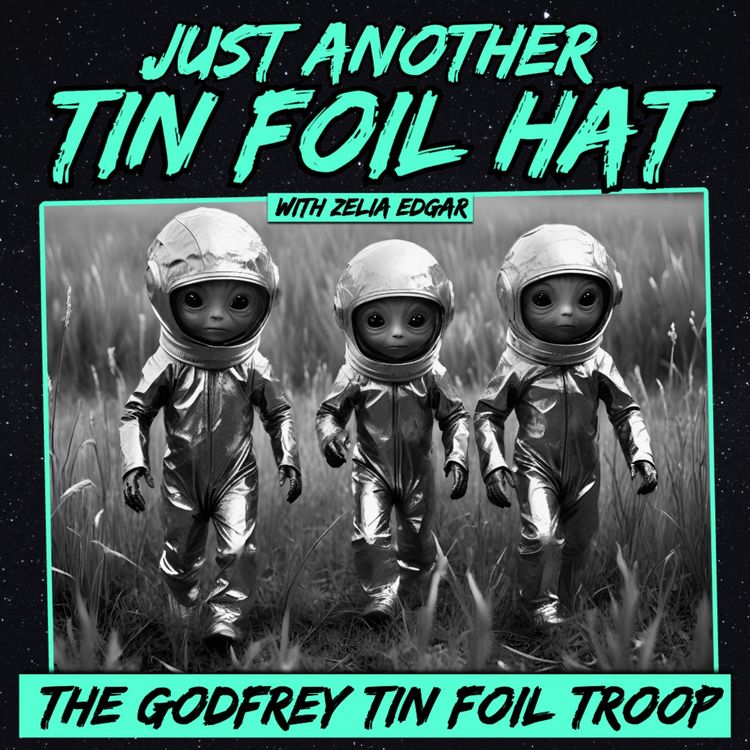 cover art for Just Another Tin Foil Hat | The Godfrey Tin Foil Troop