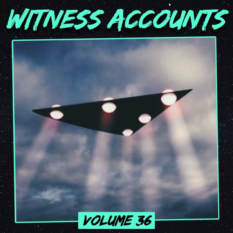 cover art for Witness Accounts: Volume 36