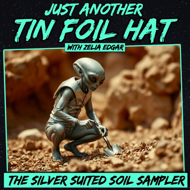 cover art for Just Another Tin Foil Hat | The Silver-Suited Soil Sampler