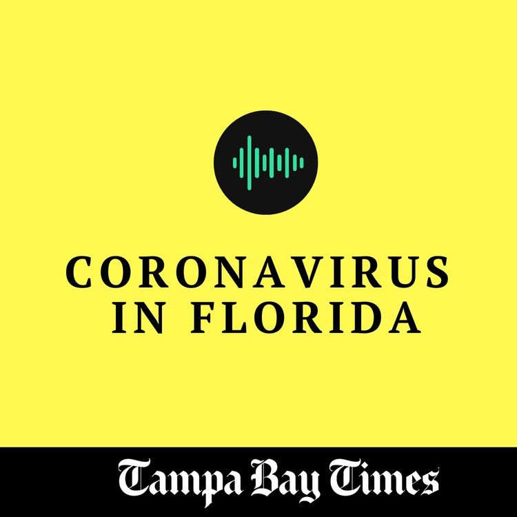 cover art for Has Florida flattened the curve?