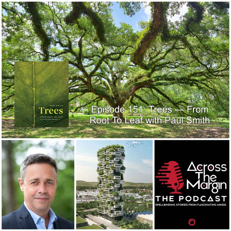 cover art for Episode 151: Trees — From Root To Leaf with Paul Smith