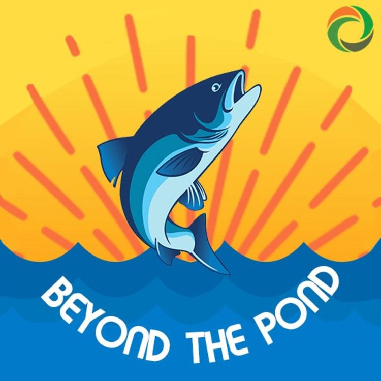 cover art for Episode 028: Wingsuit w/ RJ Bee