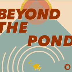 cover art for Beyond The Pond