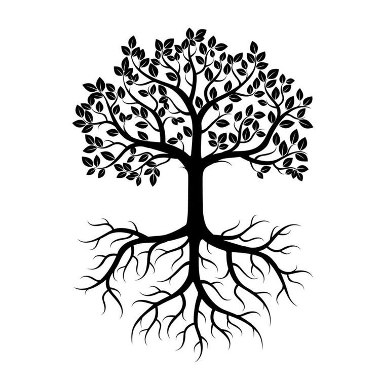 cover art for 87: Getting Back to Our Roots