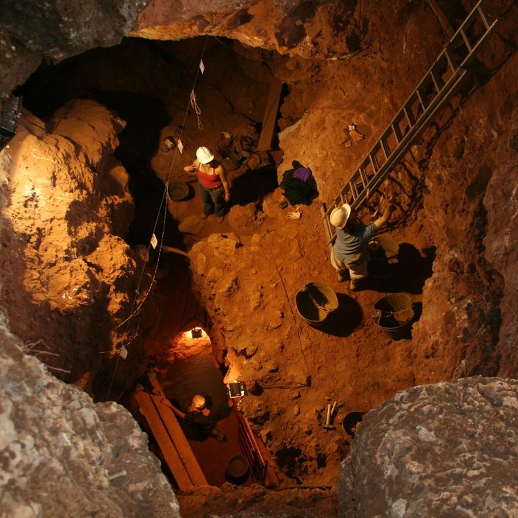 cover art for 49: "We're Kind of Like Archaelogists!"