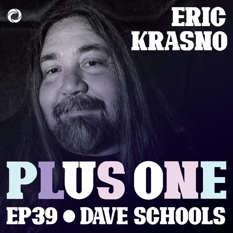 cover art for Dave Schools