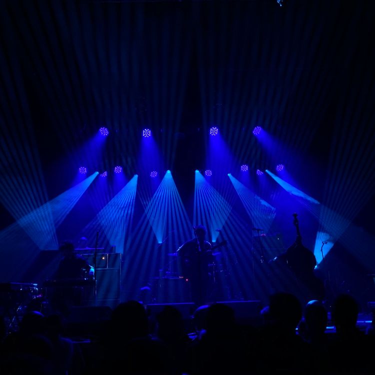 cover art for Rare Spontaneous Check In w/ Rob and Seth