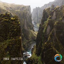 cover art for THE RAVINE
