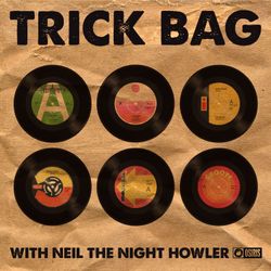 cover art for Trick Bag