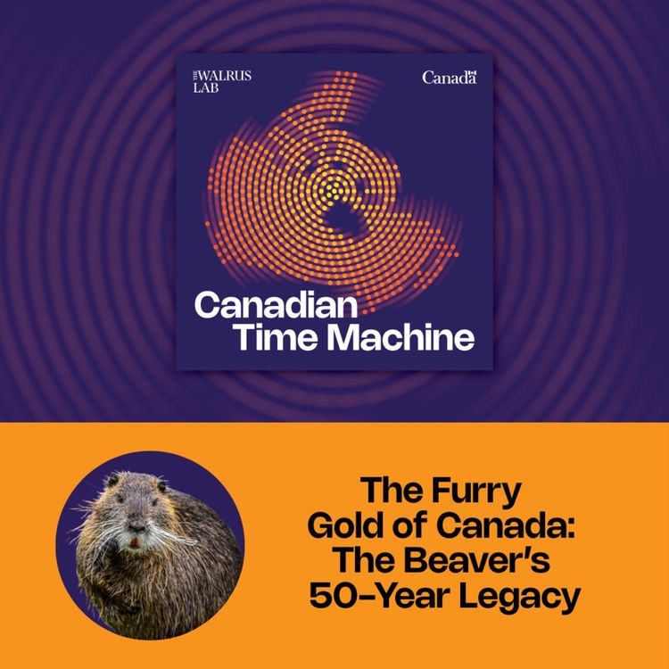 cover art for S11E8 Curious Canadian History presents: Canadian Time Machine | The Furry Gold of Canada: The Beaver’s 50-Year Legacy