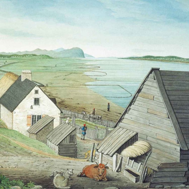 cover art for S11E11 The Frontier Regime of New France under Louis XIV