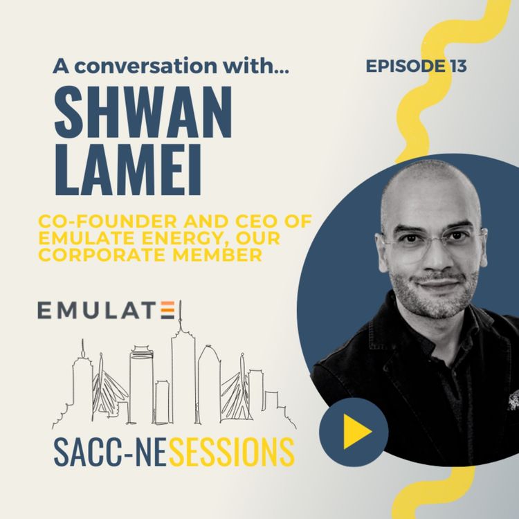 cover art for Shwan Lamei, Co-Founder & CEO of Emulate Energy