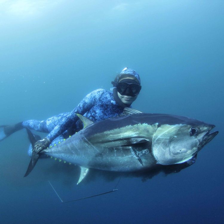 cover art for Spearfishing for Dinner: Grilled Fish, Pine Needle Mussels and Pickled Fish Eyes 