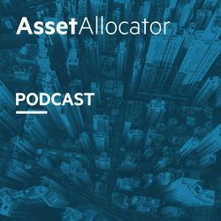 cover art for The Asset Allocator Podcast