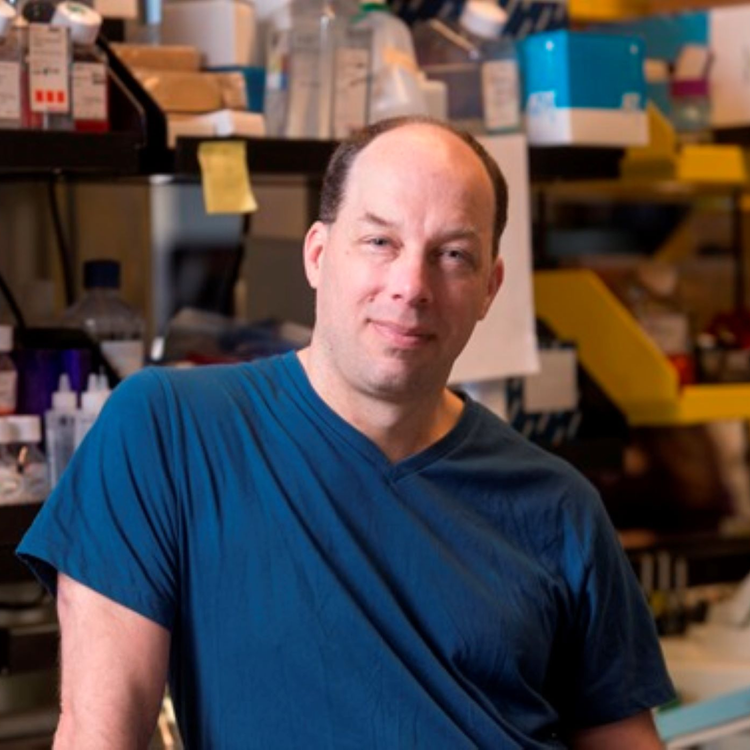 cover art for First Rounder: Stephen Quake