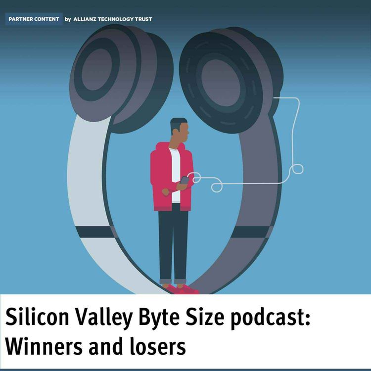 cover art for Partner Content: Winners and losers