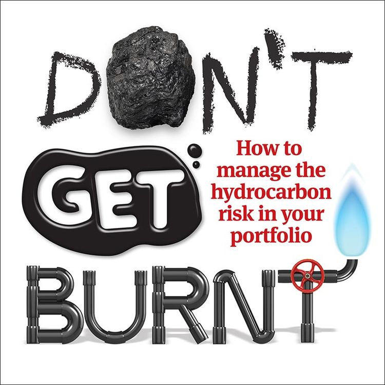 cover art for Companies & Markets Show 13 November 2015