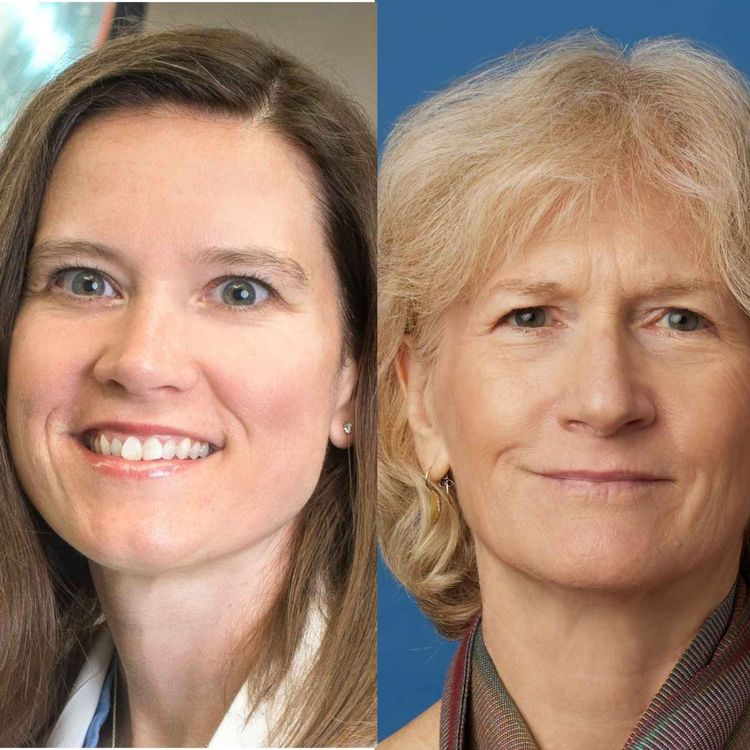 cover art for Xenotransplantation Roundtable: Locke and Sykes