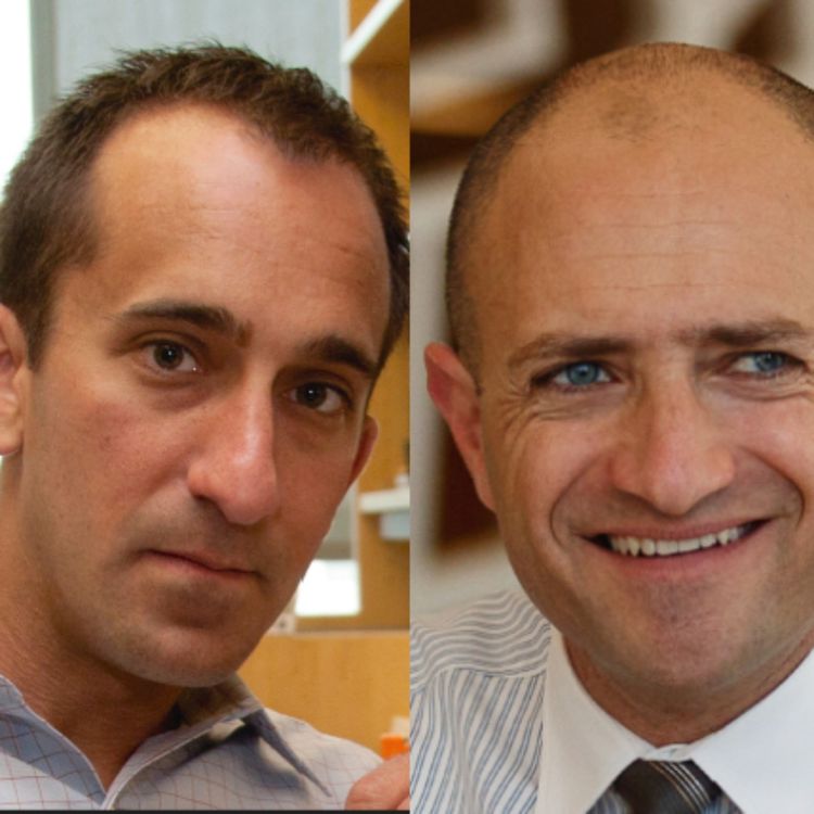 cover art for Microbiome Roundtable: Fischbach and Mazmanian