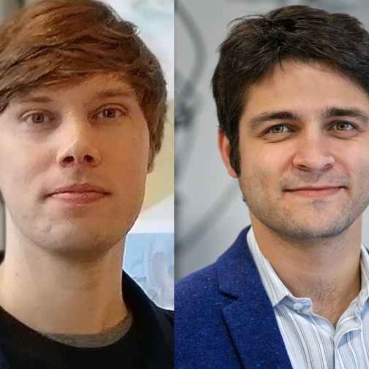 cover art for Biomolecular Ultrasound Roundtable: Maresca and Shapiro