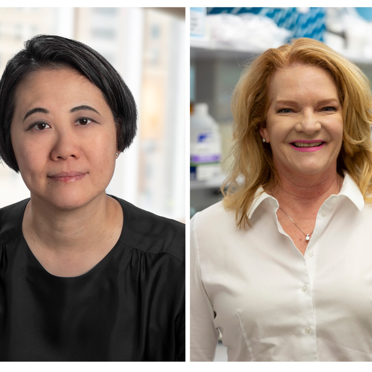 cover art for Precision Oncology Roundtable: Siu and Mardis