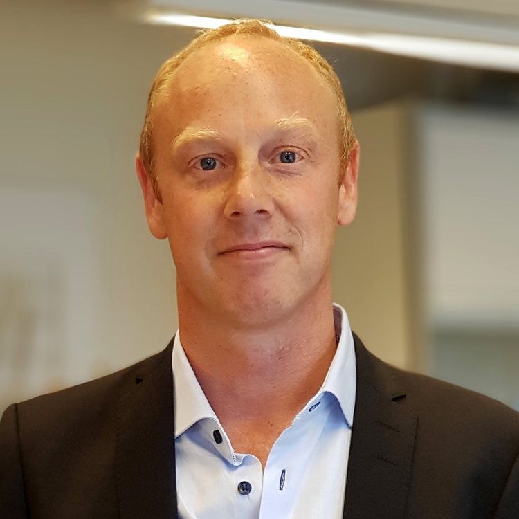 cover art for Bioengineered scaffolds repair the uterus in rabbits